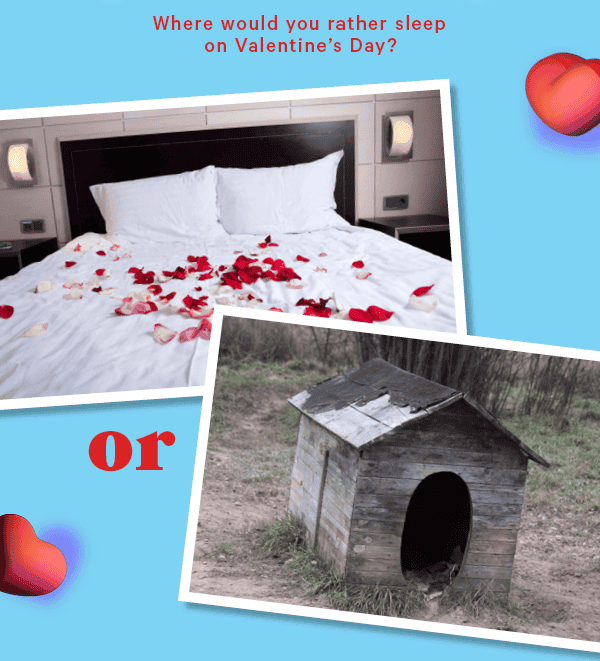 Where would you rather sleep on Valentine's Day?