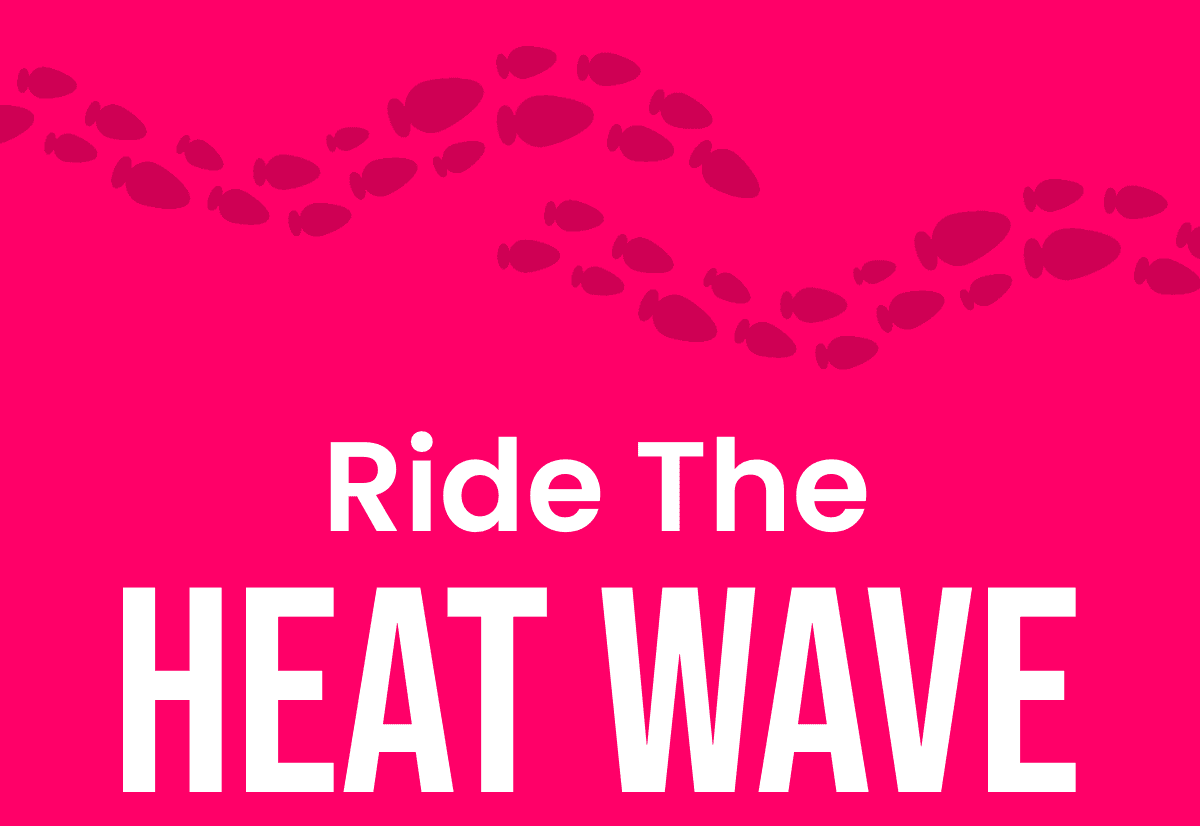 Ride the Heat Wave