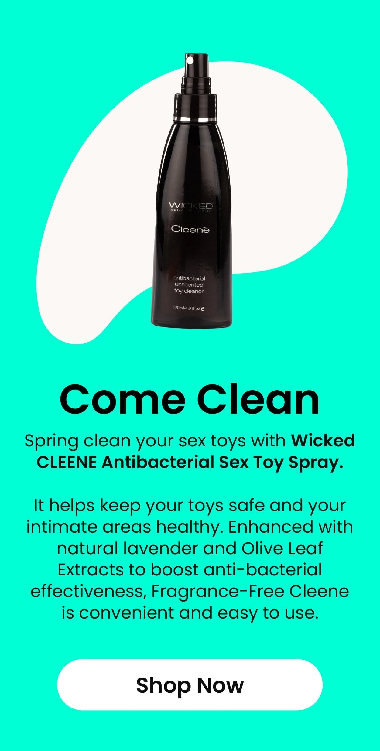 Wicked Cleene Spray