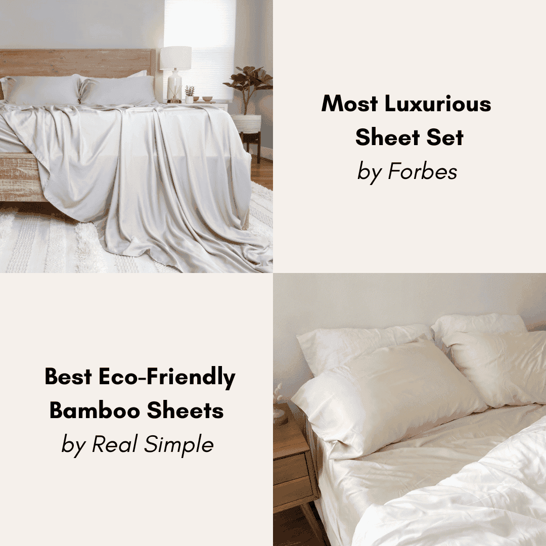 bamboo sheet awards