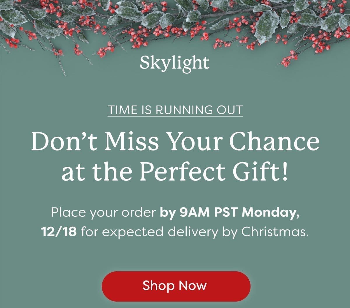 Skylight Last Chance Holidays