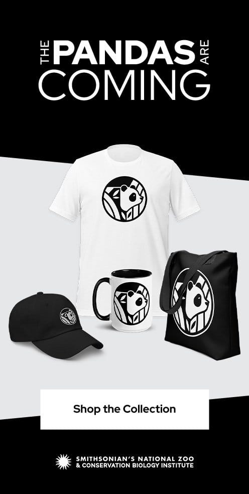 The Pandas Are Coming! - SHOP THE COLLECTION