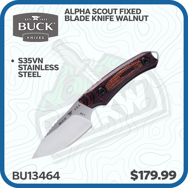 Buck Alpha Scout Fixed Blade Knife Walnut