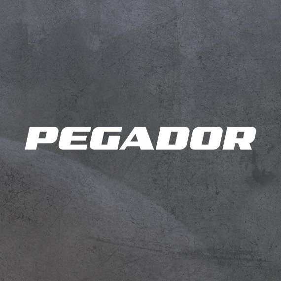 Pegador