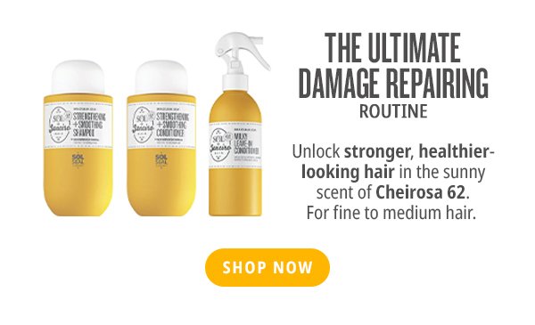 The Ultimate Damage Repairing Routine - Shop Now