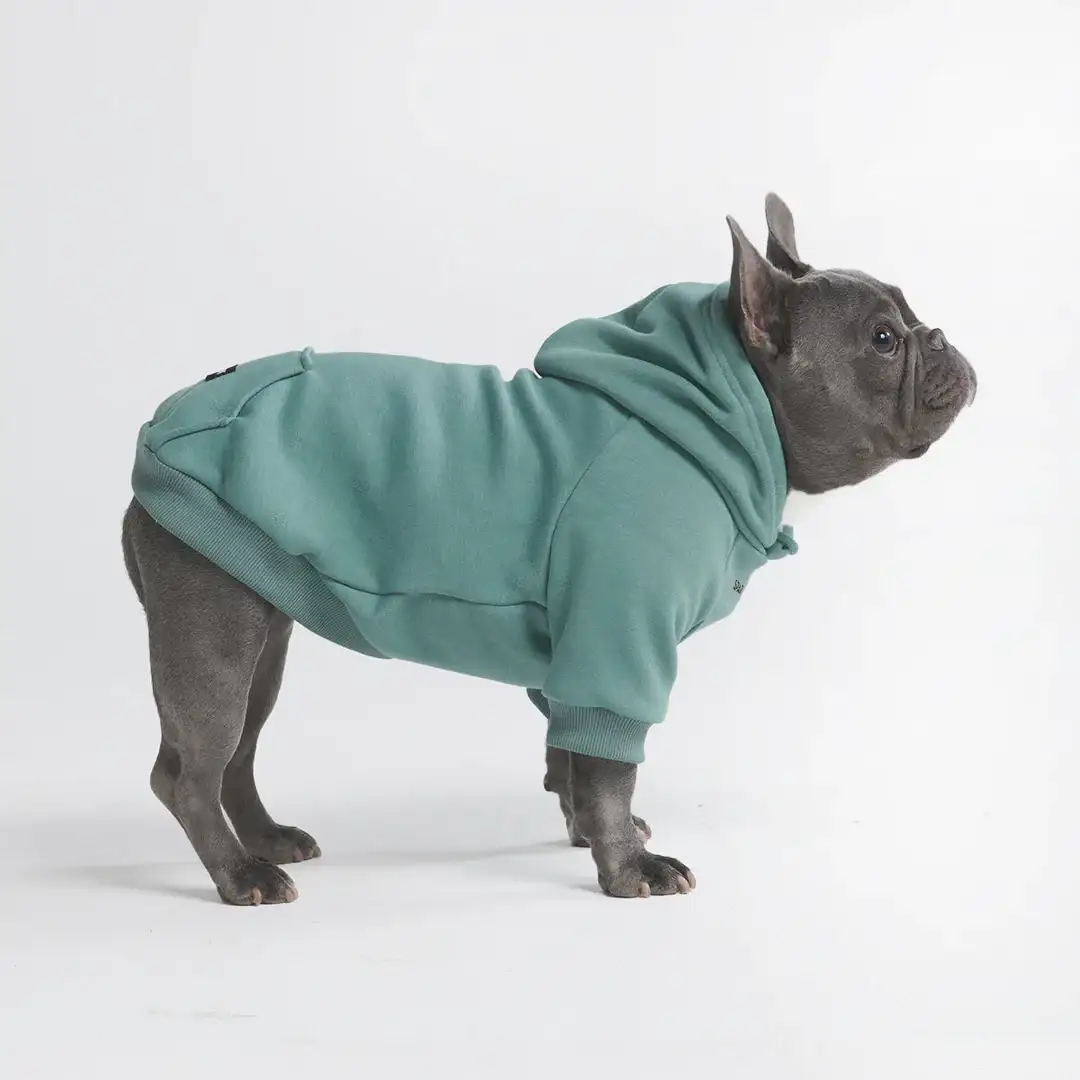 Image of Essential Dog Hoodie - Teal