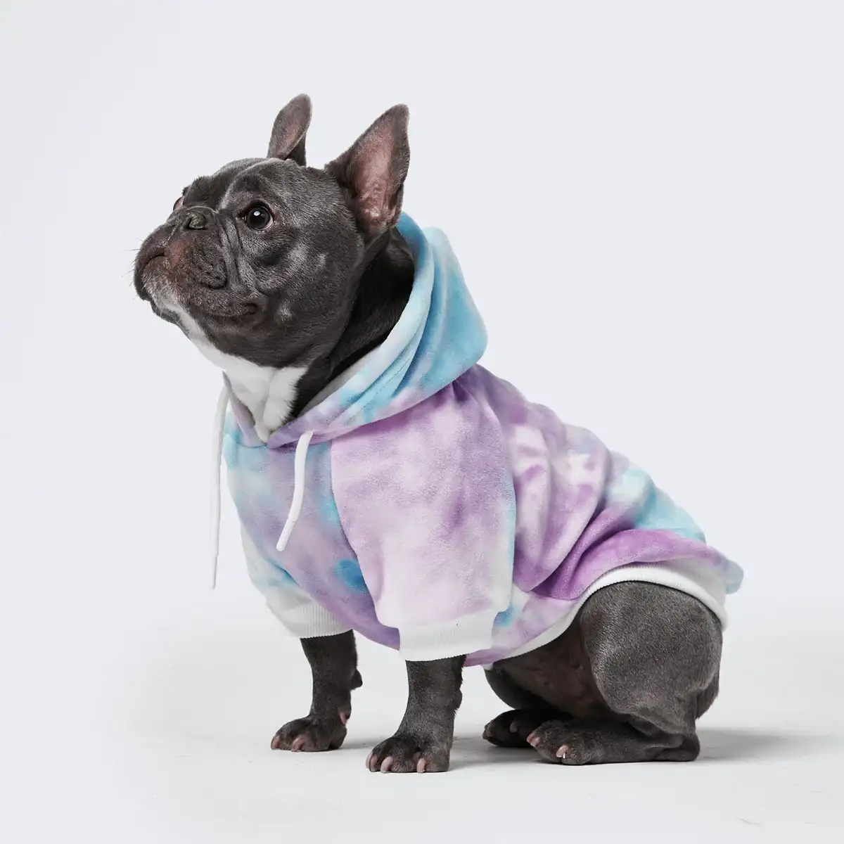 Image of Velvet Dog Hoodie - 90s Retro