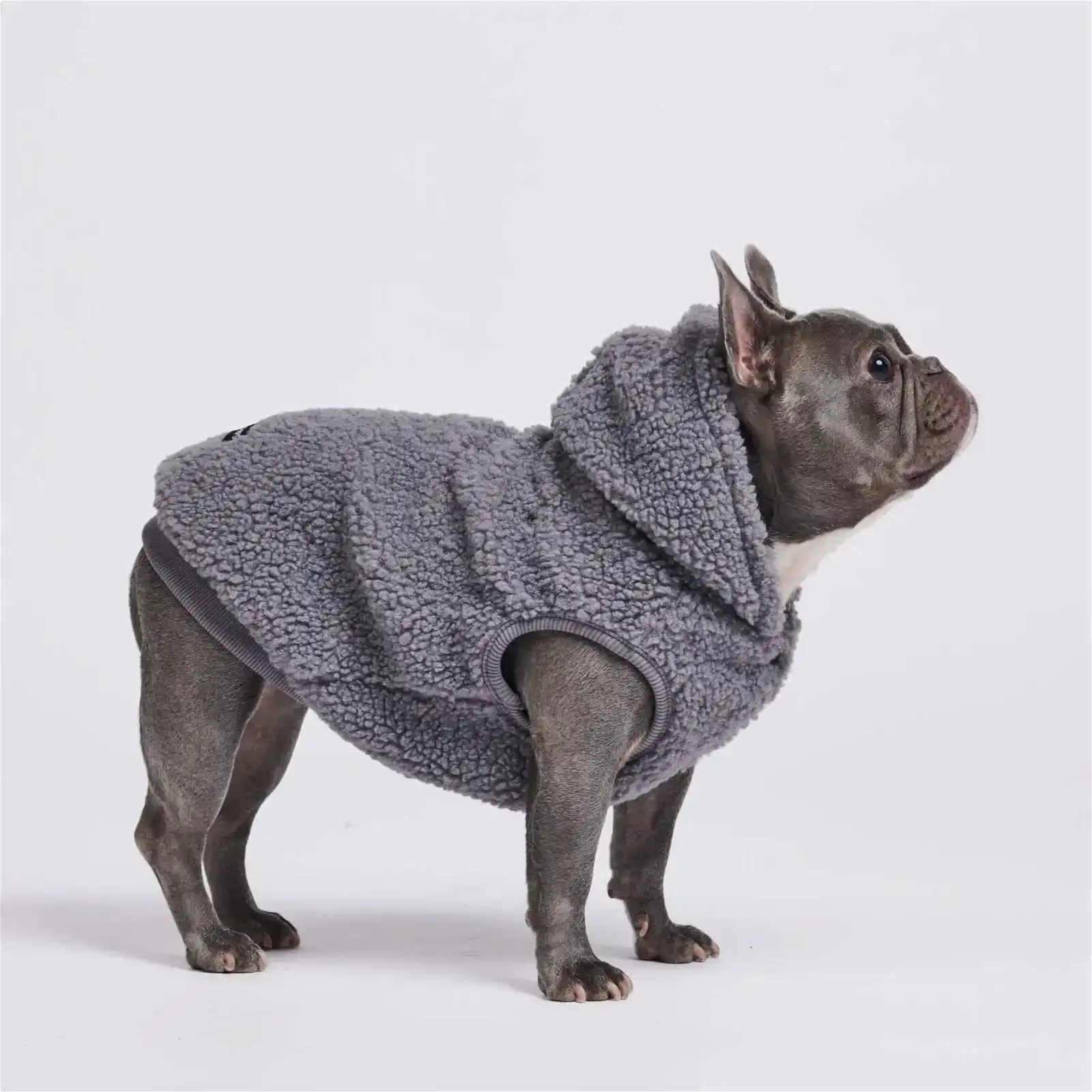 Image of Teddy Sherpa Dog Jacket - Grey