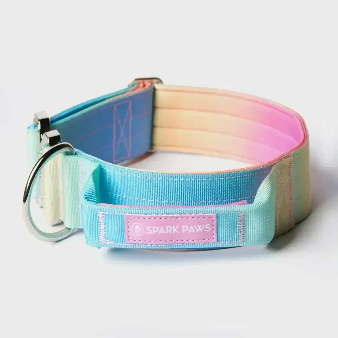 Image of Comfort Control Collar - Pastel Icing