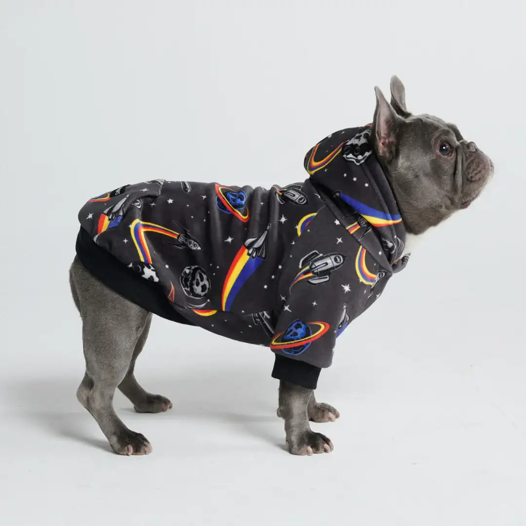 Image of Space Dog Hoodie (2)