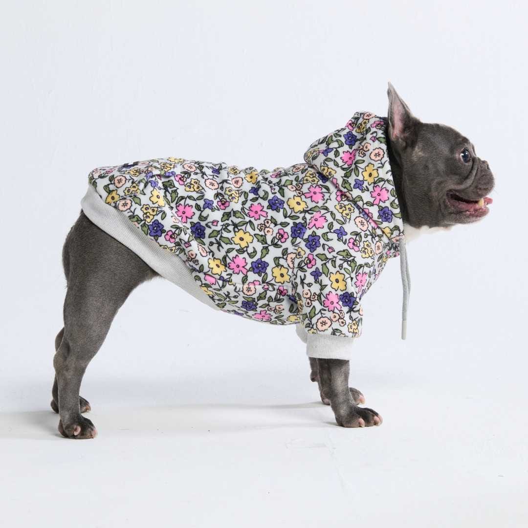 Image of Vintage Flower Dog Hoodie - Light Grey (2)