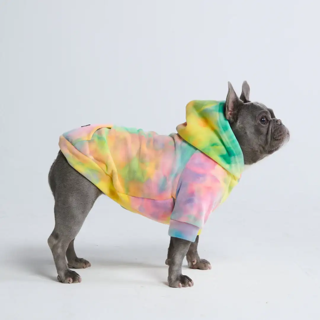 Image of Velvet Dog Hoodie - Groove (2)