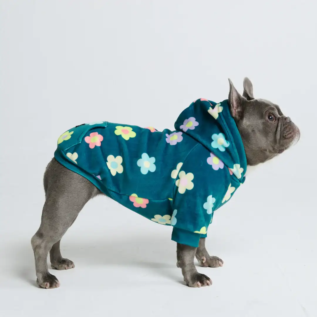 Image of Daisy Dog Hoodie - Green (2)