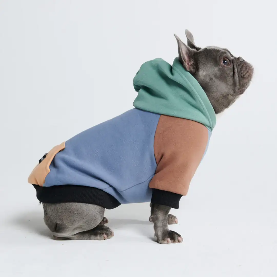 Image of Alpine Dog Hoodie (2)