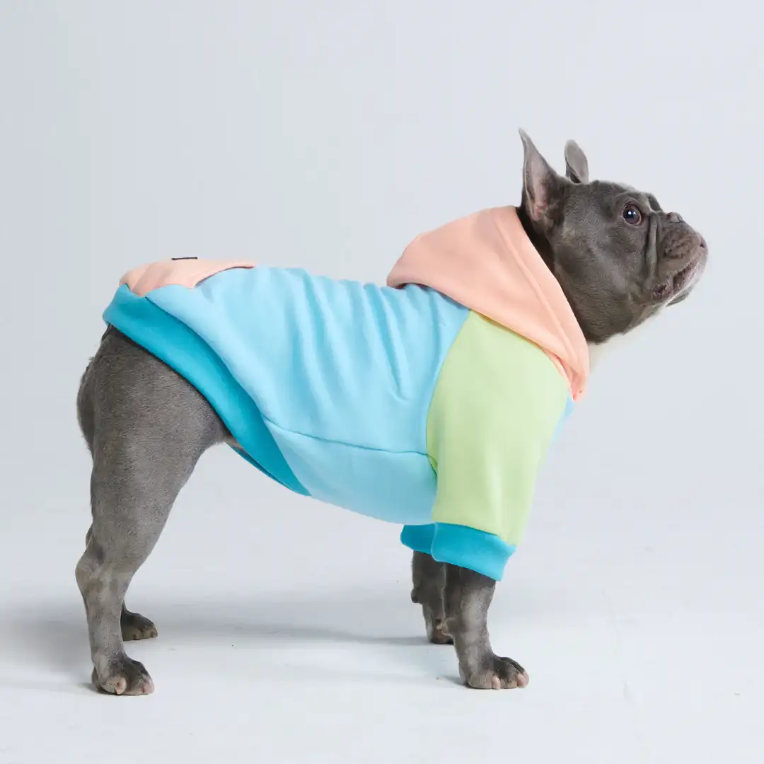 Image of Jelly Bean Dog Hoodie (2)