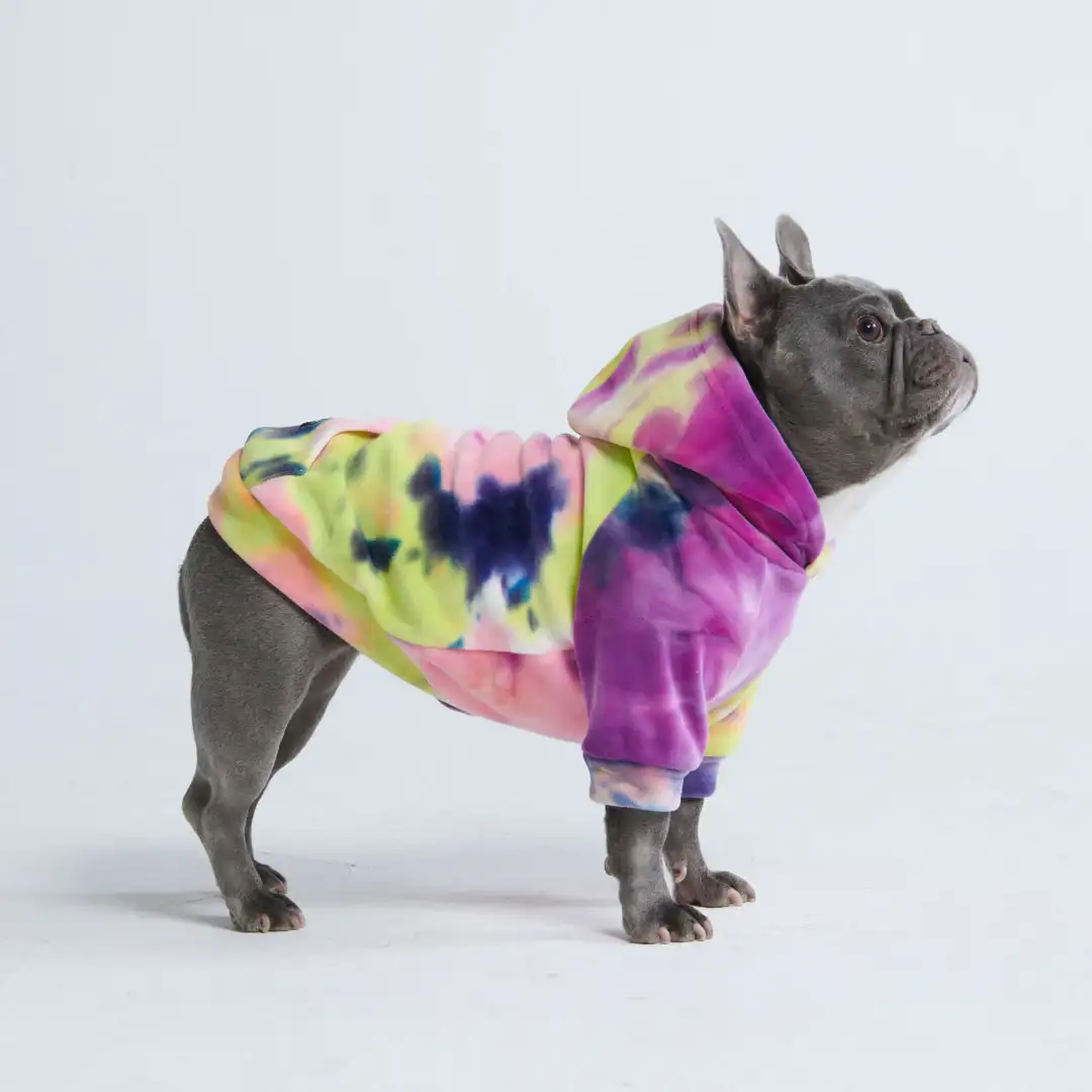 Image of Velvet Dog Hoodie - Berry Lemonade (2)