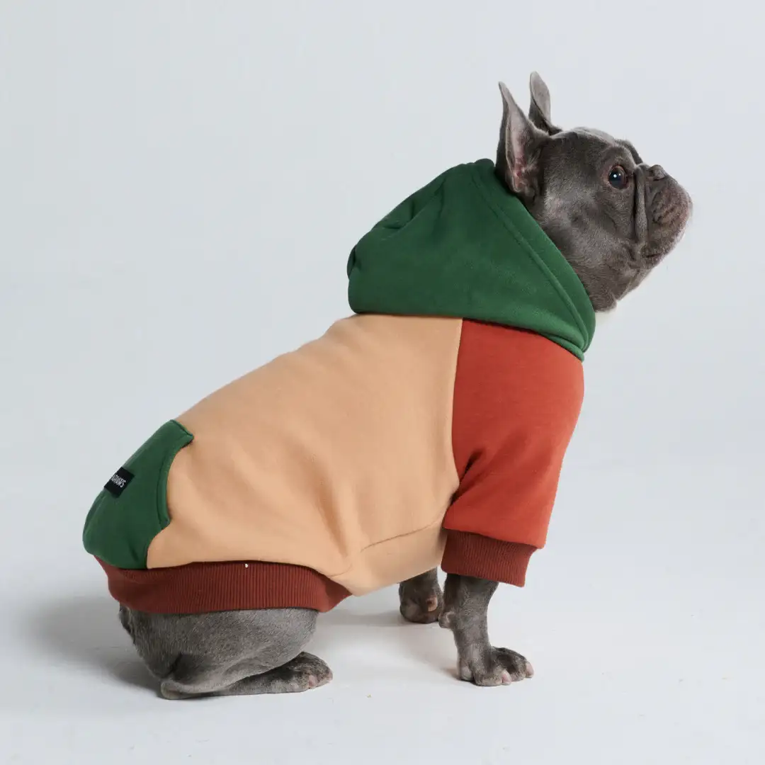 Image of Ranger Dog Hoodie (2)