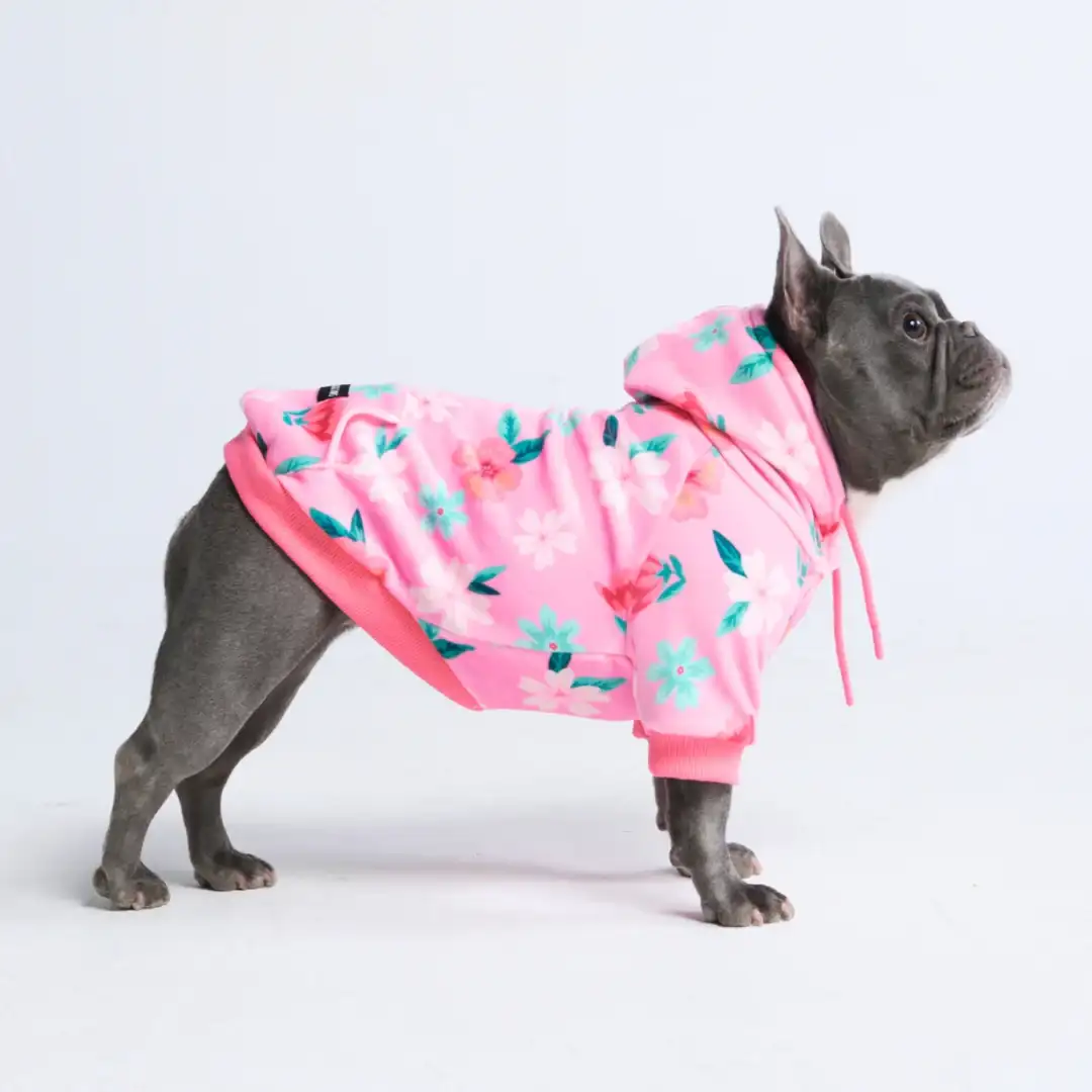 Image of Blossom Dog Hoodie - Pink (2)