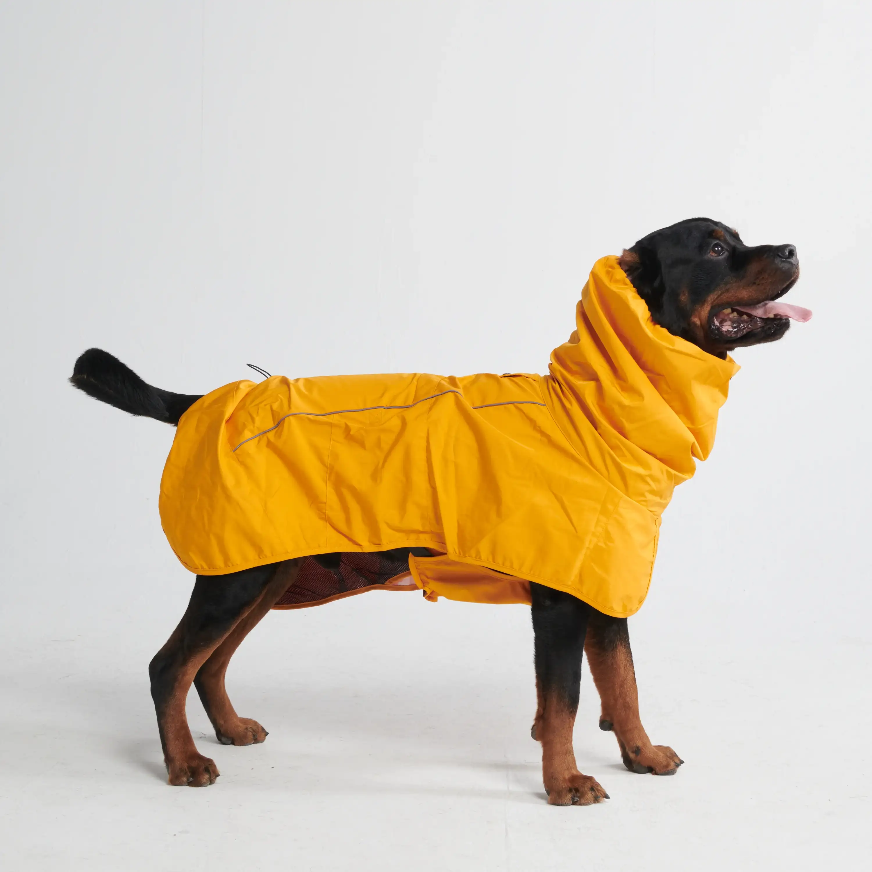 Image of Breatheshield™ Dog Raincoat - Mustard Yellow