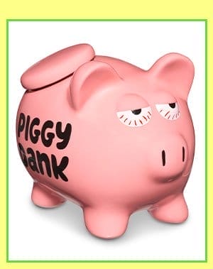 Piggy Dank Bank Stash Jar - 8.5 oz.