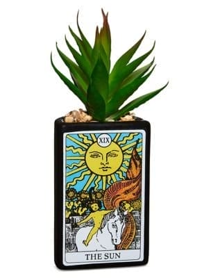 Sun Tarot Planter