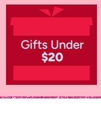 Gifts Under \\$20