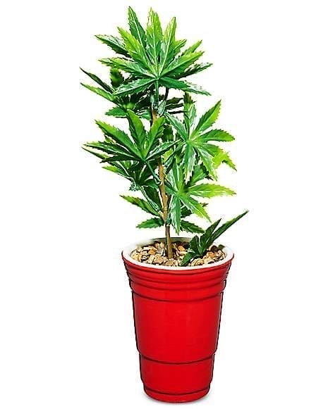 Red Cup Planter