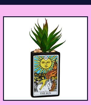 Sun Tarot Planter