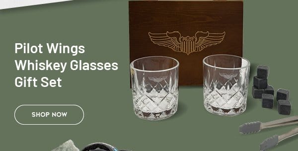 Pilot Wings Whiskey Glass with Wooden Box Gift Set