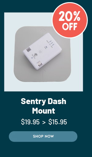 Sentry Dash Mount