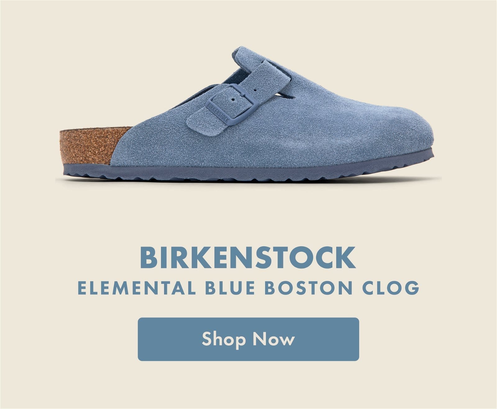 Birkenstock Blue Clog