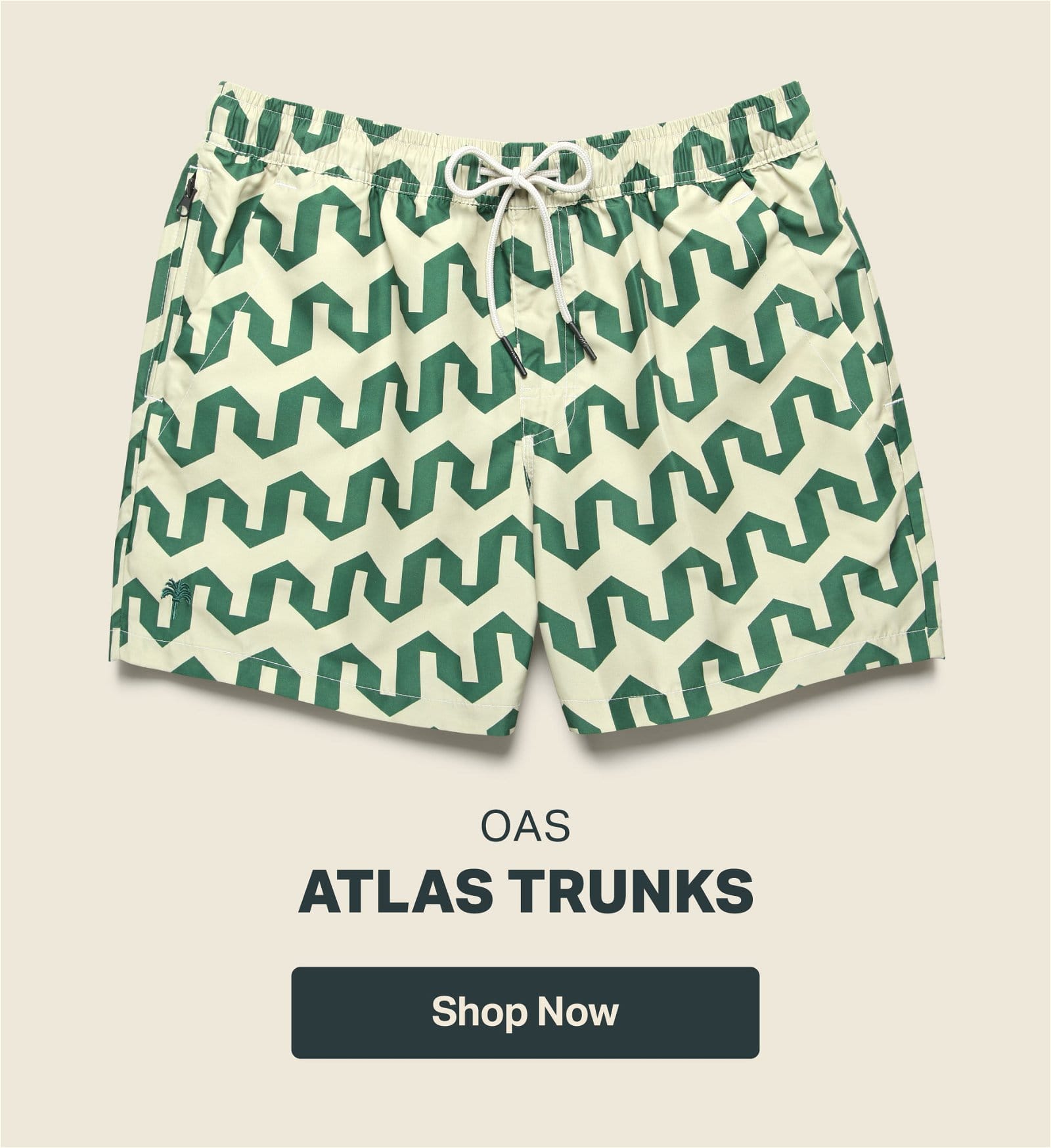 Atlas Swim Trunks