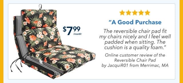 Reversible Chair Pad