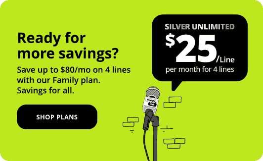 Ready for more savings? Save up to \\$80/mo on 4 lines with our Family plan. Savings for all.