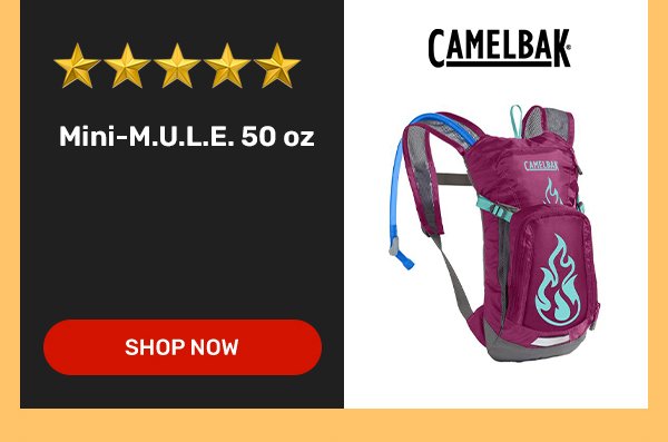 Camelbak Mini-M.U.L.E. 50 oz