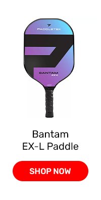 Paddletek Bantam EX-L Paddle