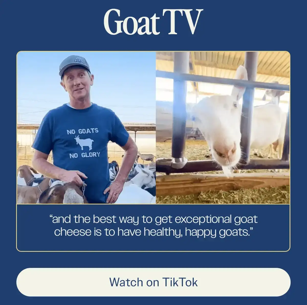 Goat TV