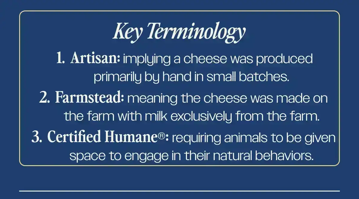 Key Terminology