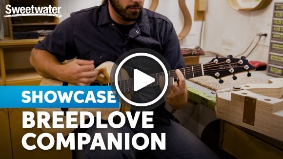 Breedlove Companion: The Beginning of an Acoustic Odyssey