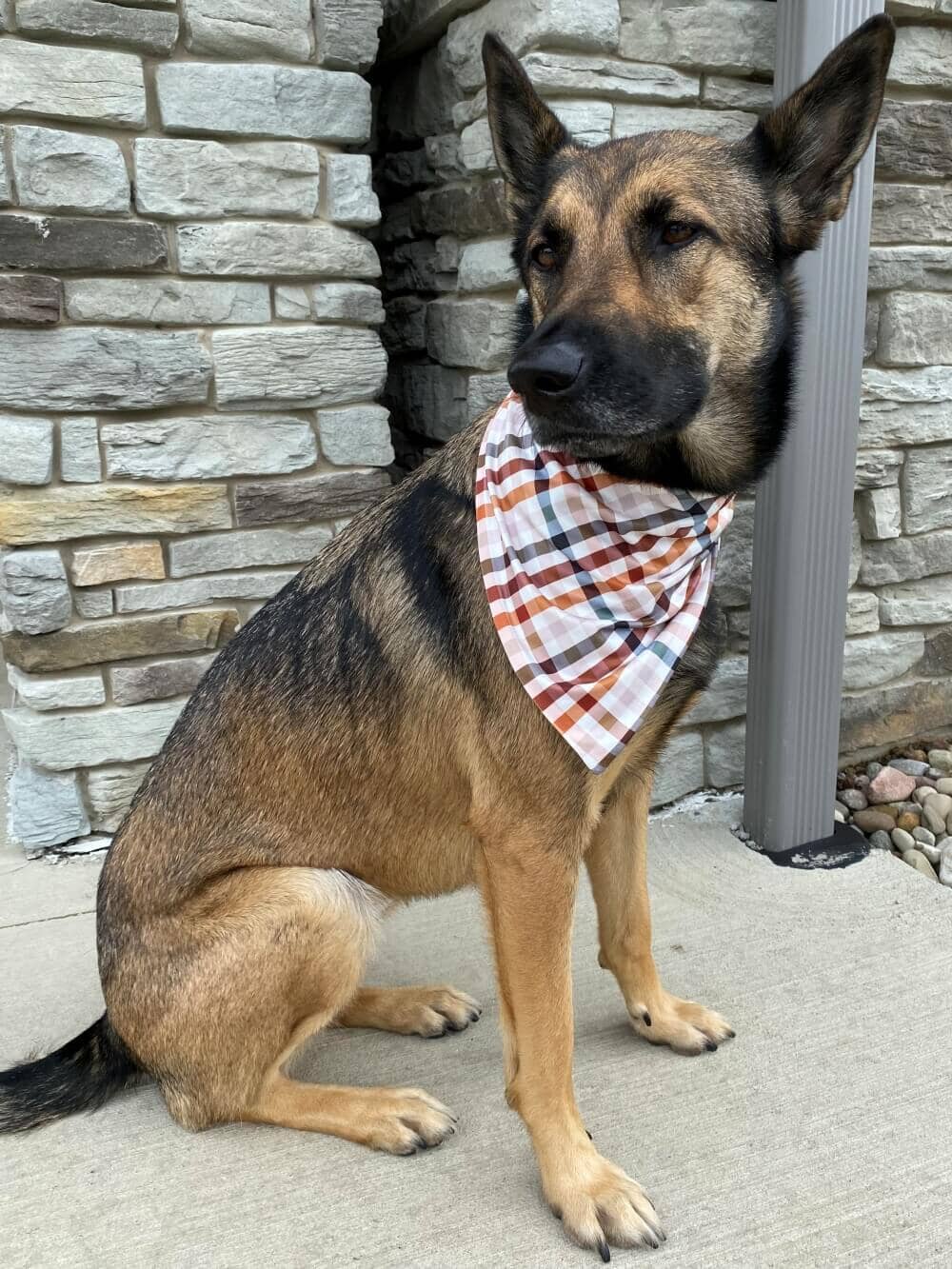 Fall Plaid Classic Dog Bandana