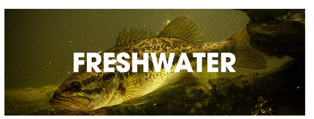 Freshwater