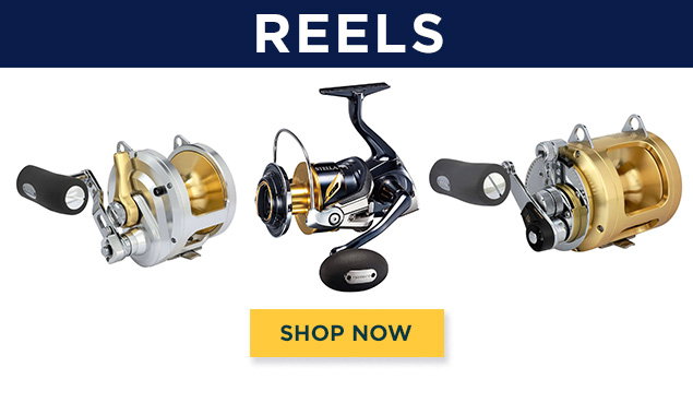 Shop Reels