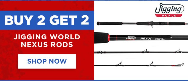 buy 2 get 2 jigging world nexus rods