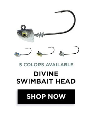 Shop Divine Swimbait Head