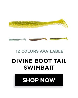 Shop Divine Boot Tail Swimbait