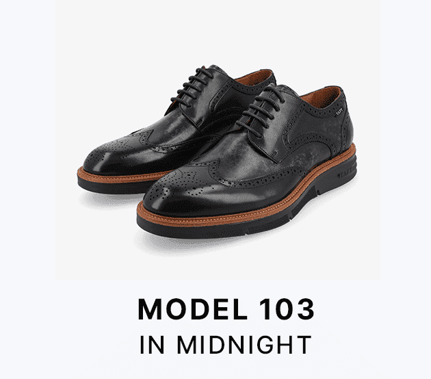 Model 103 in Midnight