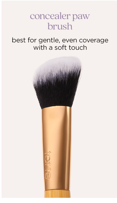 concealer paw brush