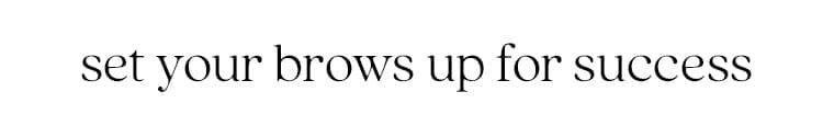 set your brows up for success