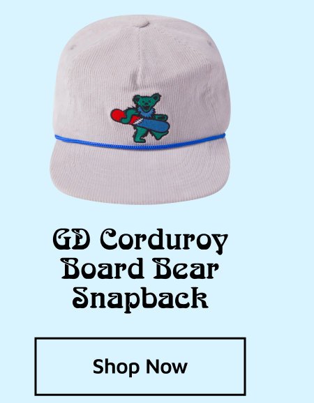 (Restock) GD Board Bear Snapback