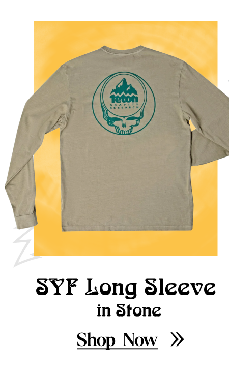 SYF Long Sleeve in Stone